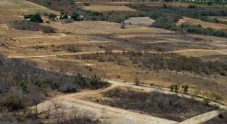Eco-Lot Near the Beach in Agua Blanca, Oaxaca