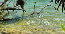 Lagoon front land for sale in Bacalar