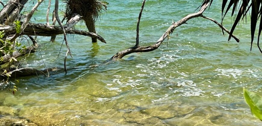 Lagoon front land for sale in Bacalar