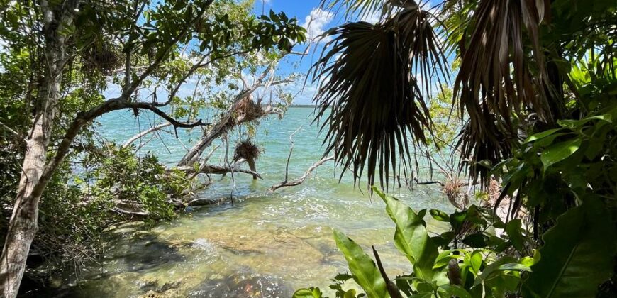 Lagoon front land for sale in Bacalar