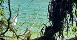 Lagoon front land for sale in Bacalar