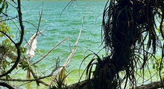 Lagoon front land for sale in Bacalar