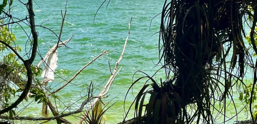 Lagoon front land for sale in Bacalar