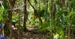 Lagoon front land for sale in Bacalar