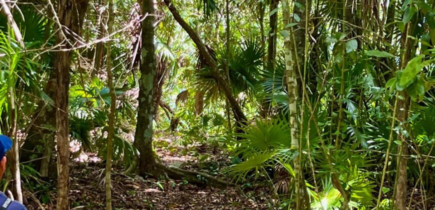 Lagoon front land for sale in Bacalar