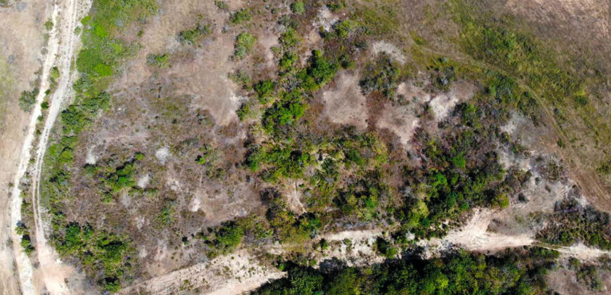 Eco-Lot Near the Beach in Agua Blanca, Oaxaca
