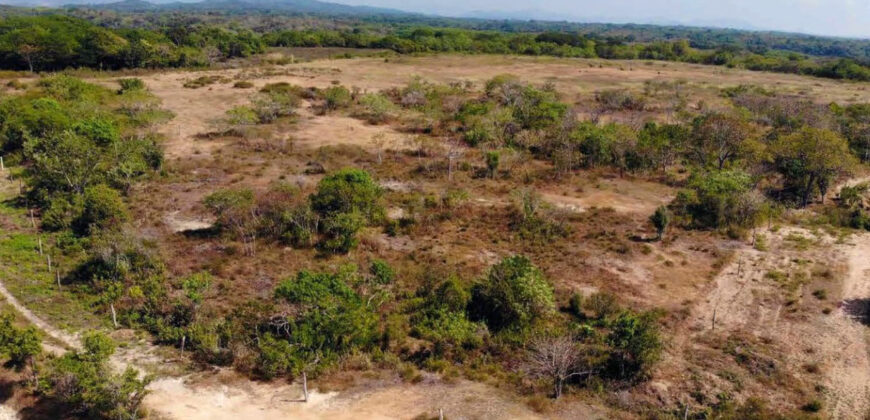 Eco-Lot Near the Beach in Agua Blanca, Oaxaca