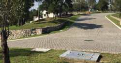 Scenic Countryside Lot for Sale in Lomas Flor del Bosque